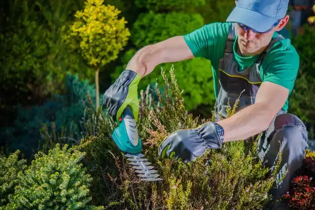 landscaping services Turpin Hills